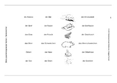 zu-gesetzte Nomen1-14.pdf